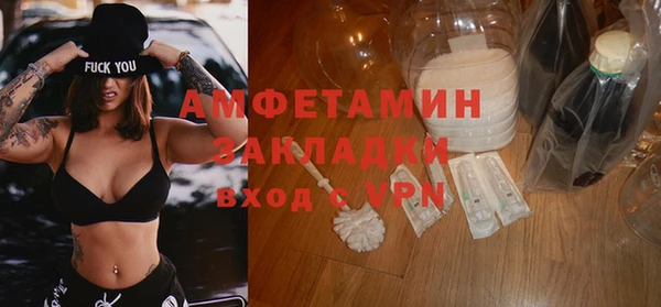индика Алексин