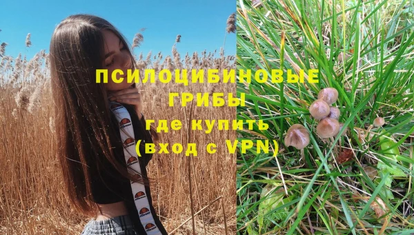 индика Алексин