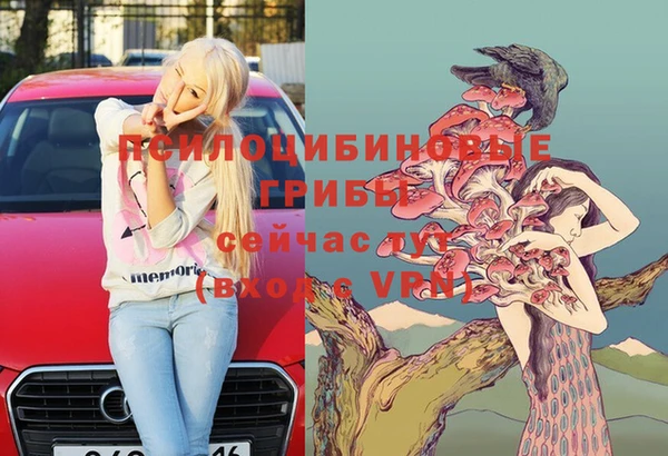 индика Алексин